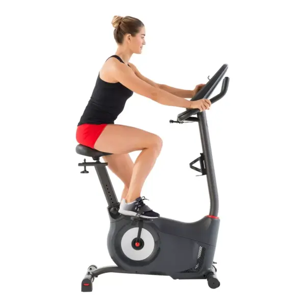 Schwinn 170 Upright Exercise Bike - Silver