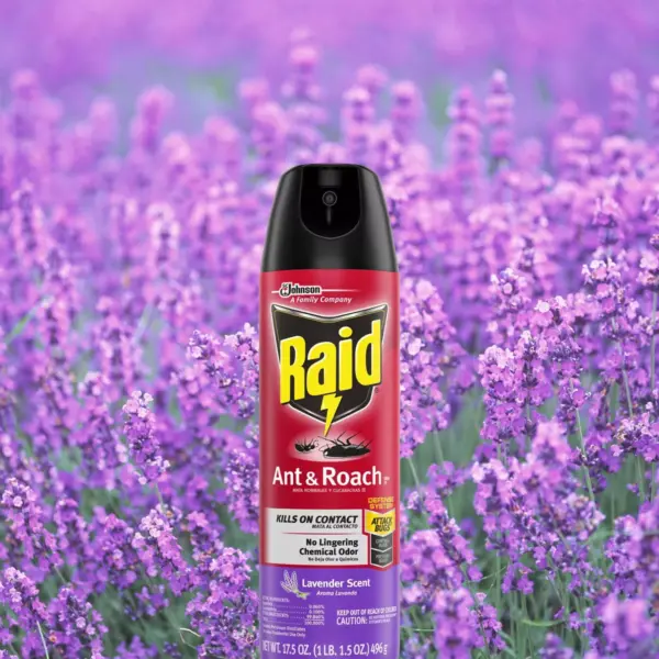 Raid Ant & Roach Killer 26 - Lavender Scent - 17.5oz