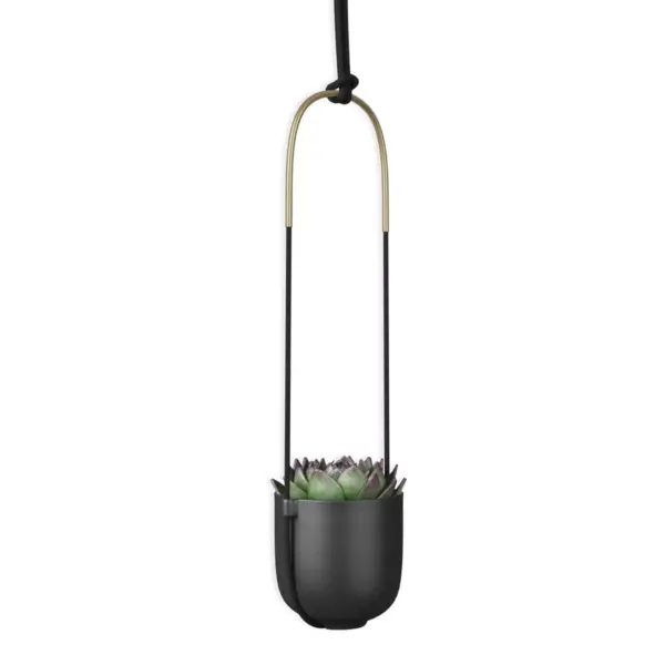 Bolo Planter Black - Umbra