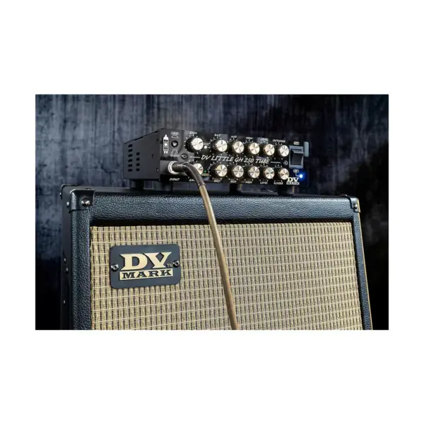 DV Mark DV Little 250 GH Greg Howe Signature 250W Tube Hybrid Guitar Amp Head