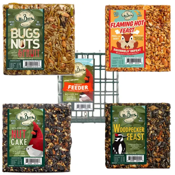 Home & Garden 4.5" 4 Small Cakes & Cage Set / 5 Bird Woodpecker Bug Nut Flaming Mr Bird  -  Bird And Wildlife Food