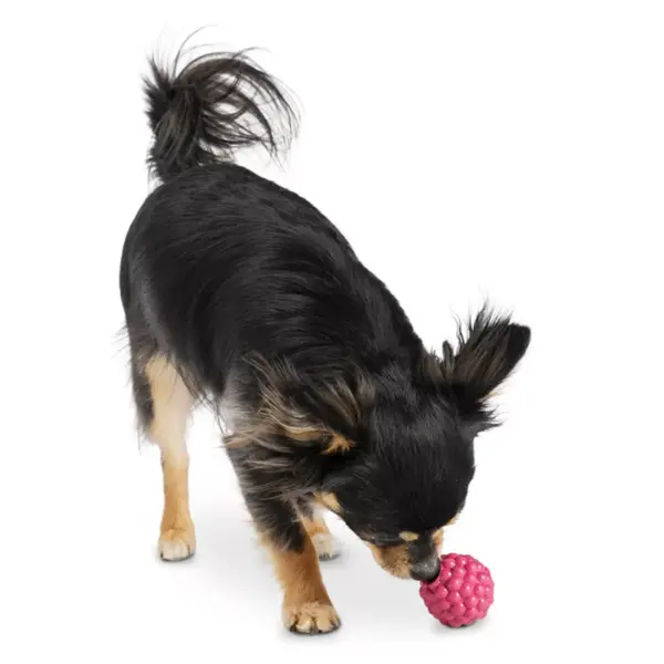 Planet Dog Orbee-Tuff Raspberry Dog Toy