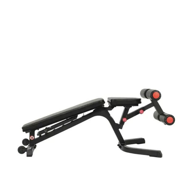 Sunny Health & Fitness Fully Adjustable Utility Weight Bench