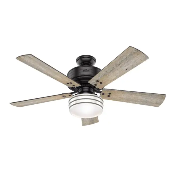 52" Cedar Key Damp Rated Ceiling Fan with Remote Black (Includes LED Light Bulb) - Hunter Fan