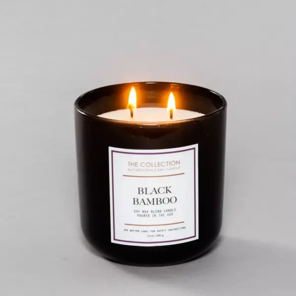 12oz Core Jar 2-Wick Candle Black Bamboo - Chesapeake Bay Candle