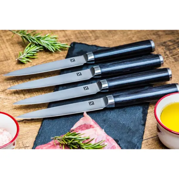 Zelancio Premium 4 Piece Japanese Steel Professional Chef Knife Set with High Carbon VG-10 Core and 67 Layer Damascus Steel, Wooden Handle