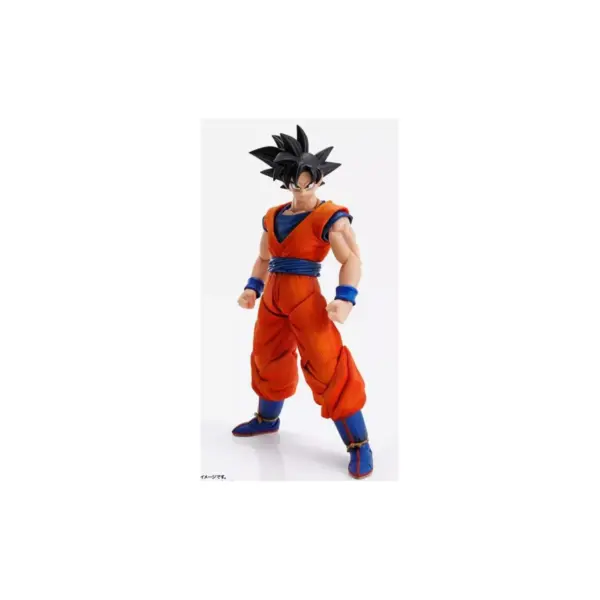 Son Goku S.H. Figuarts | Bandai Tamashii Nations | Dragon ball Action figures