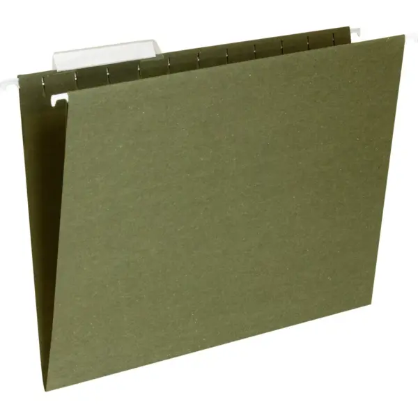 Business Source Hanging Folder 1/3 Tab Cut Letter 25/BX Standard Green 17532