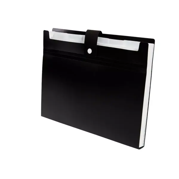 Staples 7 Pocket Open Top File Letter Assorted (51843) 2757018