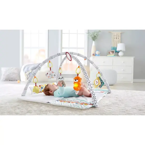 Fisher-Price Perfect Sense Deluxe Gym