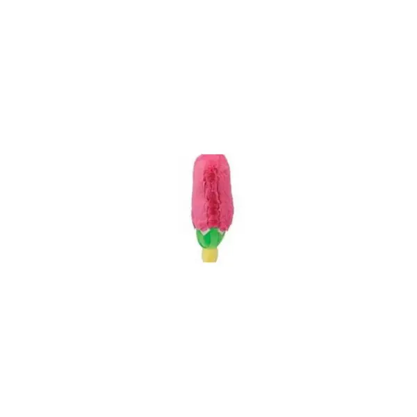 2 Scoops Plush - Watermelon Pop