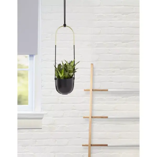 Bolo Planter Black - Umbra