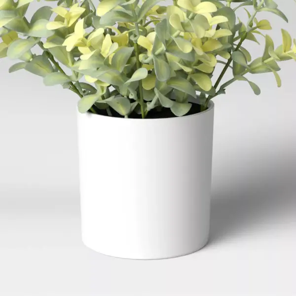 9" x 6" Artificial Boxwood Arrangement - Threshold™