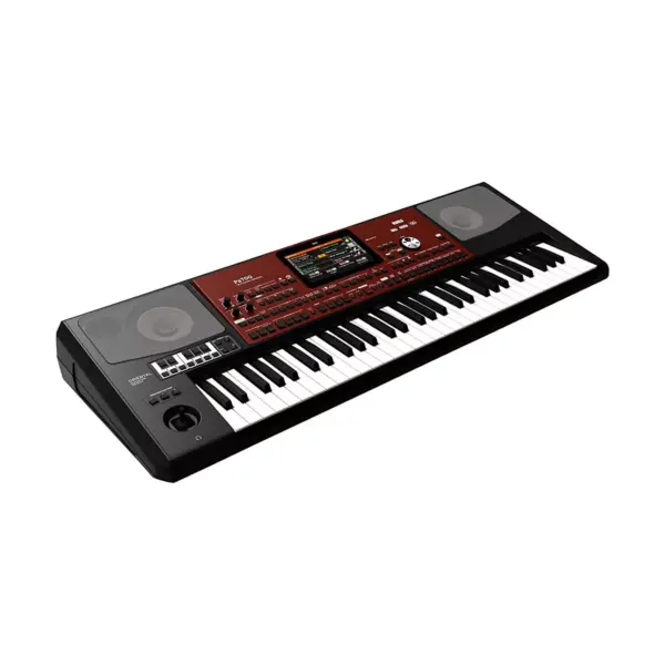 Korg Pa700 Oriental 61-Key Arranger Workstation Black