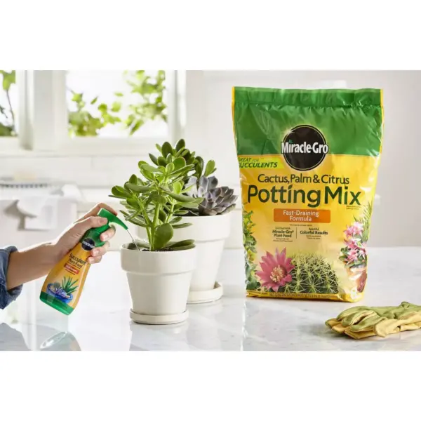 Miracle-Gro Succulent Plant Food and Potting Mix Bundle