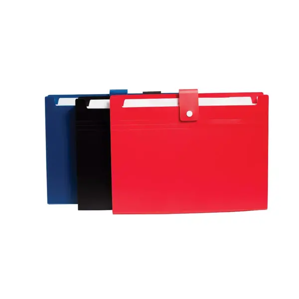 Staples 7 Pocket Open Top File Letter Assorted (51843) 2757018