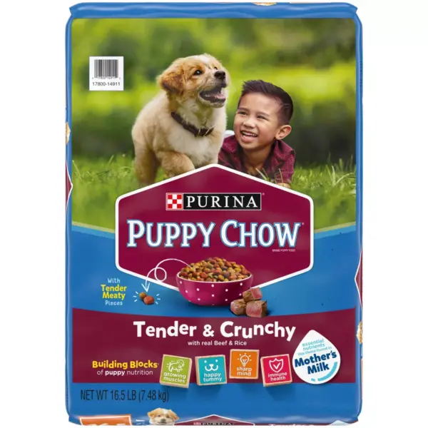 Purina Puppy Chow Tender & Crunchy with Real Beef & Rice Dry Dog Food - 18lbs