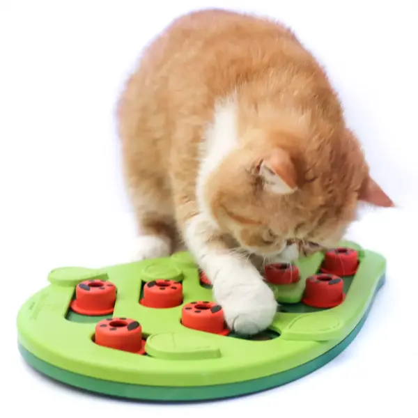 Petstages Nina Ottosson Buggin Out Interactive Treat Puzzle Cat Toy