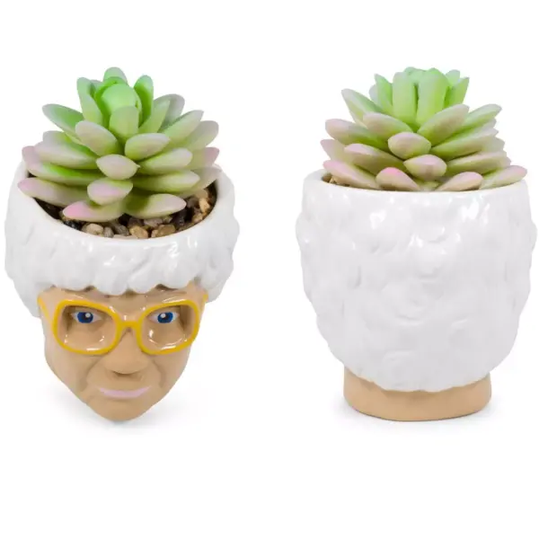 Silver Buffalo The Golden Girls Sophia Face Mini Ceramic Planter With Faux Succulent | 3 Inches