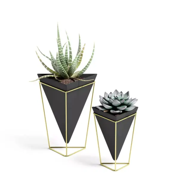 Set of 2 Trigg Tabletop Vessels Black/Brass - Umbra