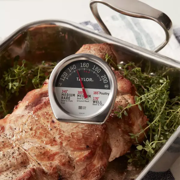 Taylor Leave-in Meat Thermometer