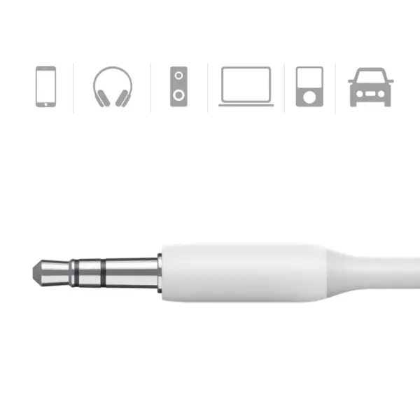 Anker 3' PowerLine Lightning to 3.5mm Audio Aux Adapter - White