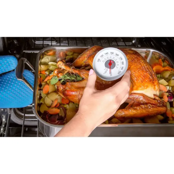 OXO Analog Leave In Meat Thermometer