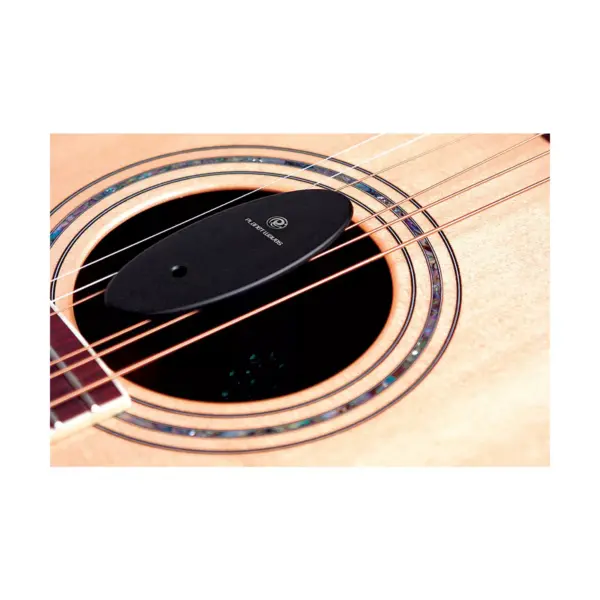 D'Addario Planet Waves Acoustic Guitar Humidifier