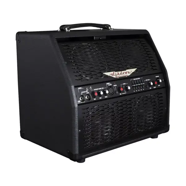 Ashdown AA-100 100W 4x5 Acoustic Combo Amplifier