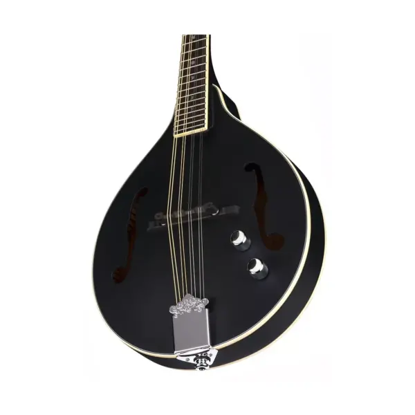 Luna Guitars Moonbird A-Style Mandolin Satin Black