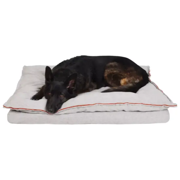 Pillowtop Dog Mattress - Taupe - L - Boots & Barkley™