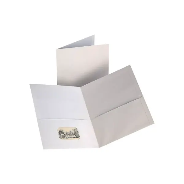 Staples 2-Pocket Folders White 10/Pack (13384-CC)