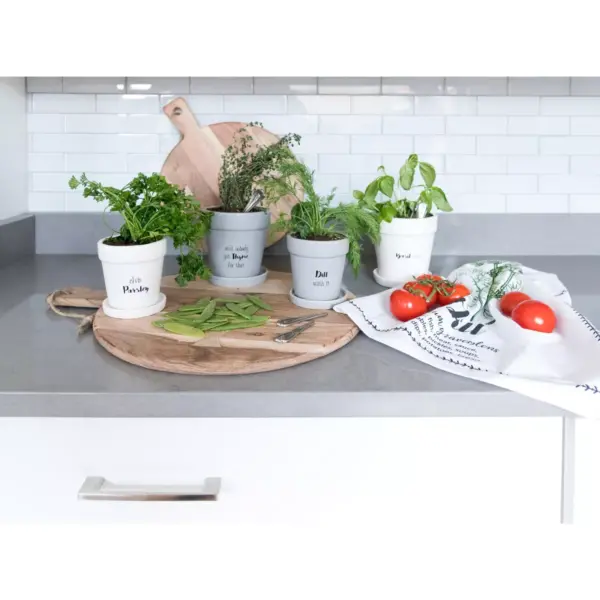 "Basil-Tov" Planter  - White - Shiraleah