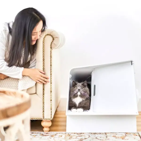 PETKIT Pura Villa Litter Box