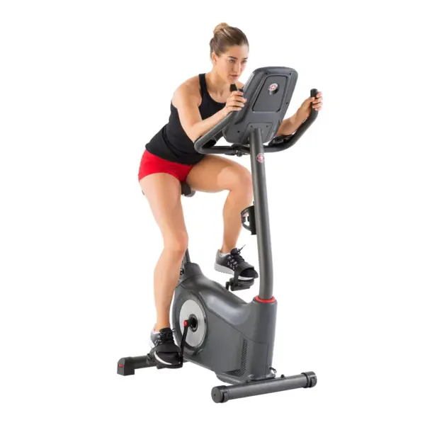 Schwinn 170 Upright Exercise Bike - Silver