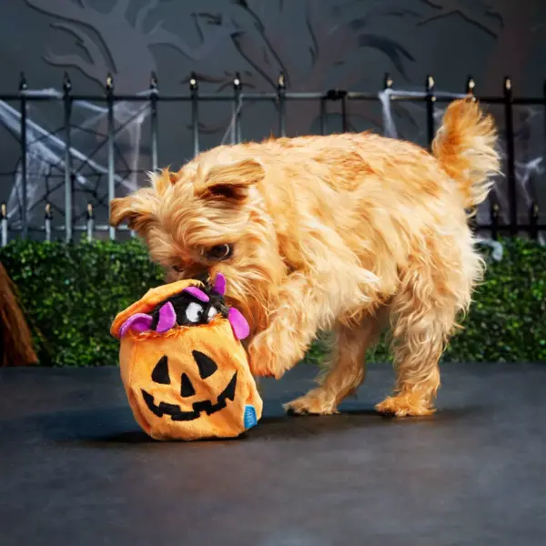 Bark Eek-A-Boo Pumpkin Dog Toy