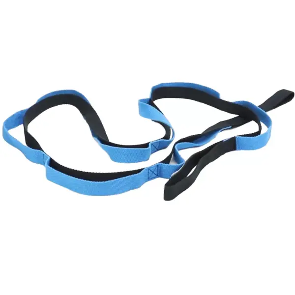 Mind Reader Fitness Stretching Strap, Black, Blue