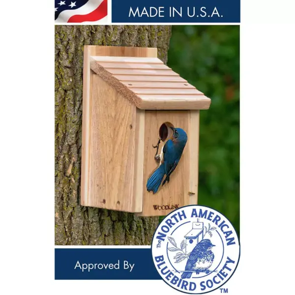 Woodlink 24301 BB1 Outdoor Wooden All Natural Inland Red Cedar Wood Bluebird Song Bird House Box (2 Pack)