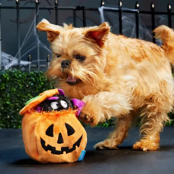 Bark Eek-A-Boo Pumpkin Dog Toy