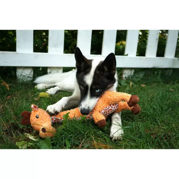 KONG Shakers Giraffe Dog Toy - Orange