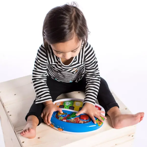 Baby Einstein Discover and Play Piano