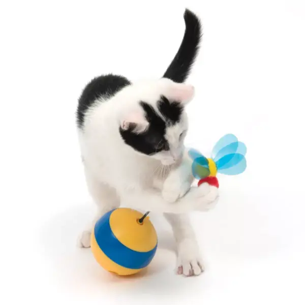 Catit Play Tumbler Bee Cat Toy