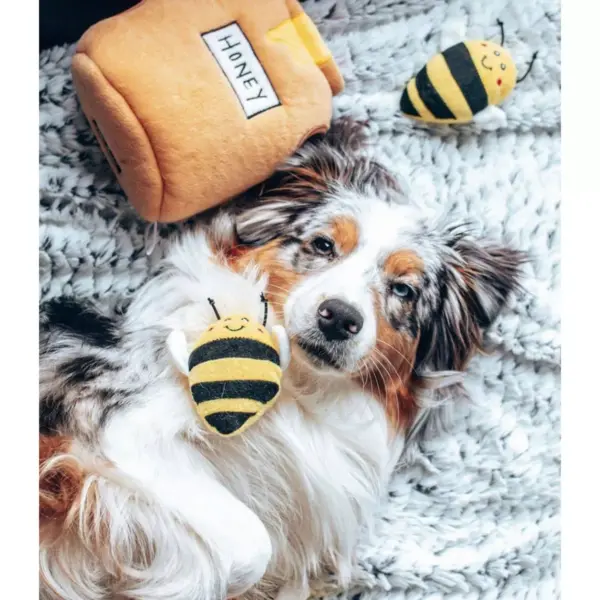 ZippyPaws Burrow Honey Pot Dog Toy