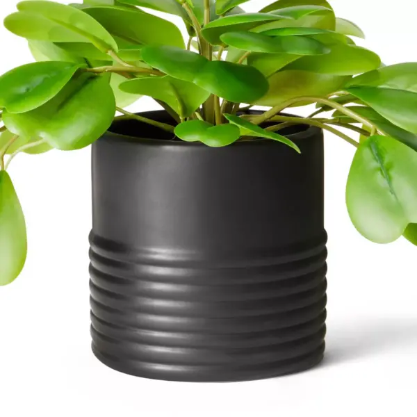 13" x 8" Faux Hoya Kerii Plant in Ribbed Pot Black - Hilton Carter for Target