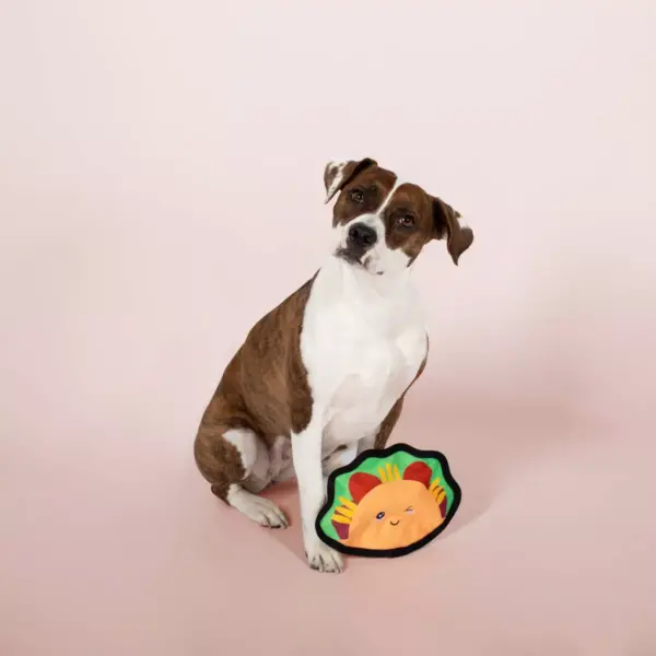 PetShop by Fringe Studio Taco Bout Some Fun Durable Plush Dog Toy