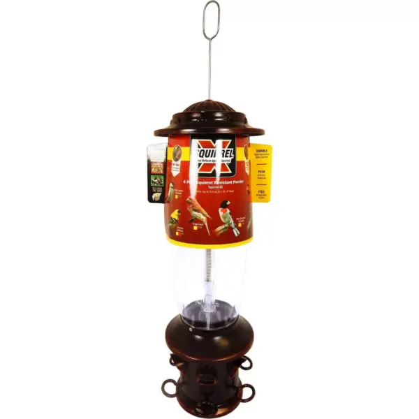 Droll Yankees Oil Rubbed Squirrel X6 Proof Bird Feeder - Bronze