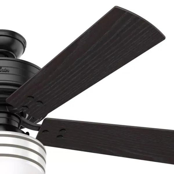 52" Cedar Key Damp Rated Ceiling Fan with Remote Black (Includes LED Light Bulb) - Hunter Fan