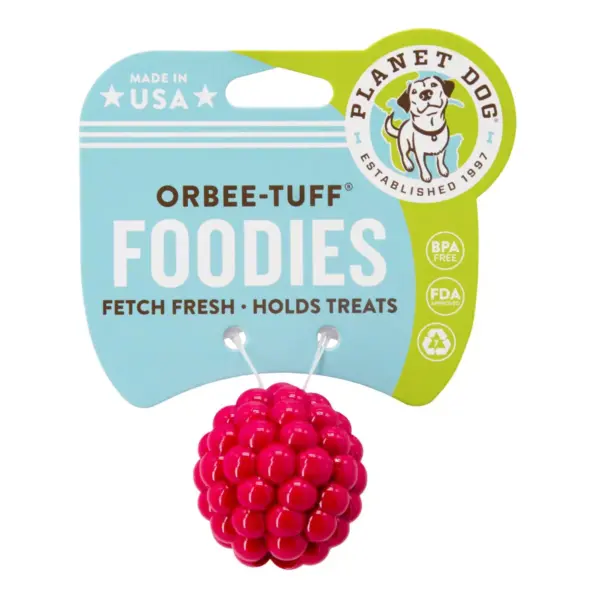 Planet Dog Orbee-Tuff Raspberry Dog Toy