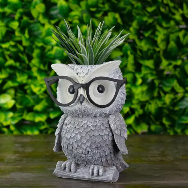 Roman 9.25" Owl Spring Outdoor Patio Garden Planter - Gray