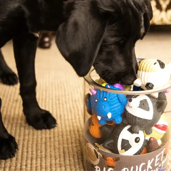 HuggleHounds Durable Ruff-Tex Bucket of Balls Toys for Dogs, Made from Tear Resistant Rubber, 10 Balls